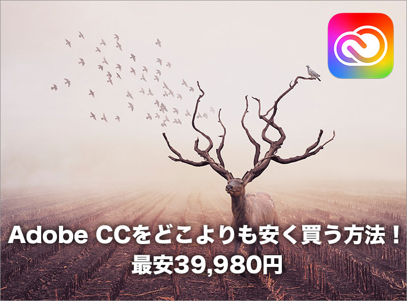 Adobe CCをどこよりも安く買う方法！最安39,980円_タイトル画像01